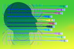 Adres internetowy